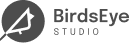 birdseye studio logo